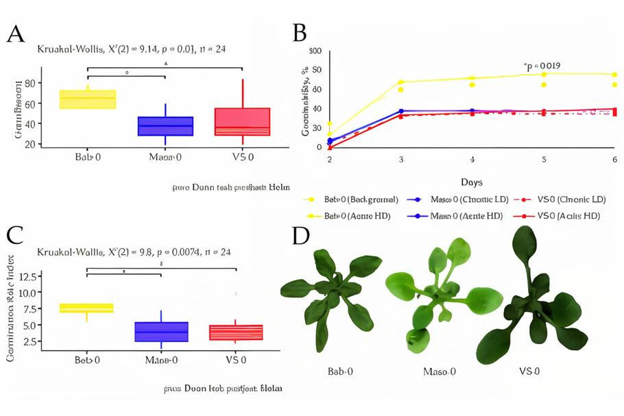 Klíčivost semen huseníčku rolního z Černobylu: rostliny z kontaminovaných lokalit vykazují lepší toleranci k akutnímu ozáření 150 Gy.