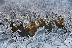 Tvořící se led nad potokem Bobrava v Rosicích na Brněnsku, 7. ledna 2026.