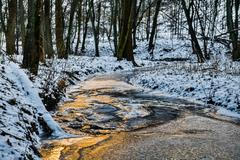 Zamrzlý potok Habřina na Zastávce u Brna, 7. ledna 2026.