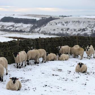 Zima zahalila i Velkou Británii. 6. leden 2026.