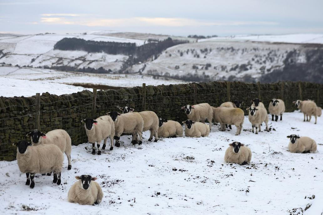 Zima zahalila i Velkou Británii. 6. leden 2026.