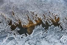 Tvořící se led nad potokem Bobrava v Rosicích na Brněnsku, 7. ledna 2026.