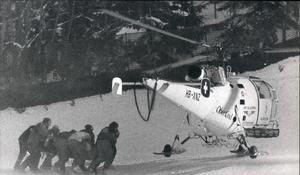 Bobsledding / Skating / Skiing