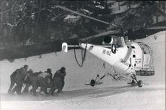 Bobsledding / Skating / Skiing