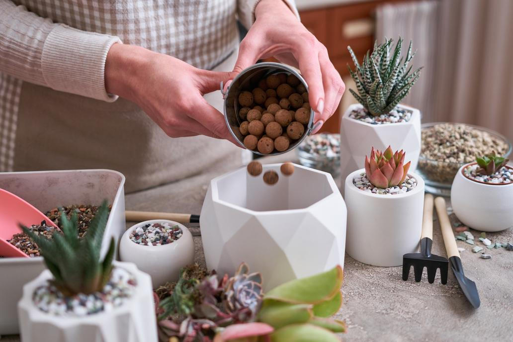 Bílý povlak v květináči.