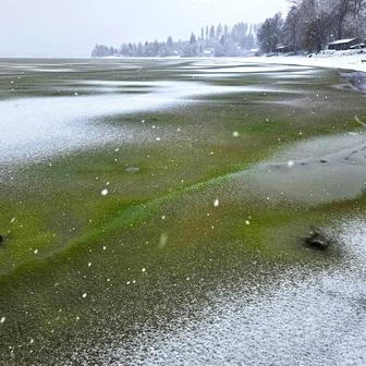 Lipenský fenomén: český zelený led míří do vědeckých učebnic