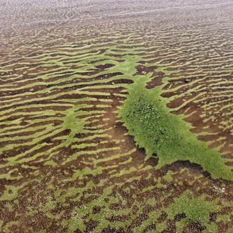Lipenský fenomén: český zelený led míří do vědeckých učebnic