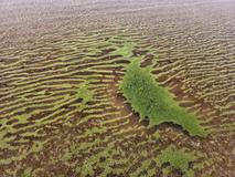 Lipenský fenomén: český zelený led míří do vědeckých učebnic