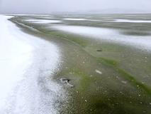 Lipenský fenomén: český zelený led míří do vědeckých učebnic