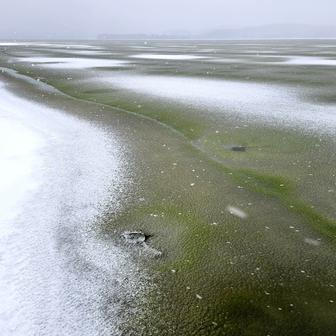 Lipenský fenomén: český zelený led míří do vědeckých učebnic