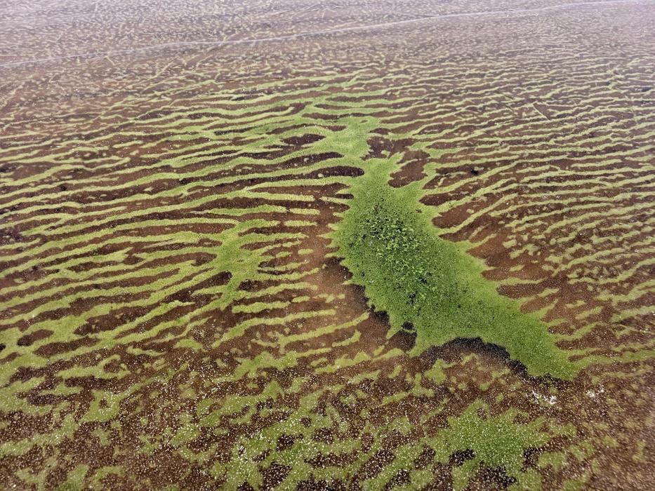 Lipenský fenomén: český zelený led míří do vědeckých učebnic