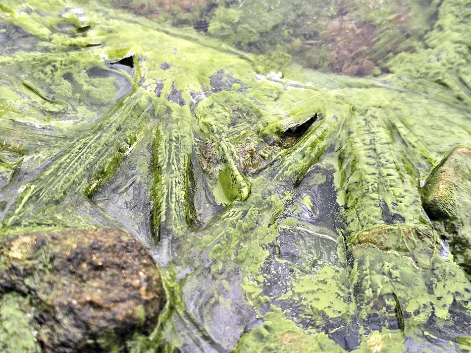 Lipenský fenomén: český zelený led míří do vědeckých učebnic