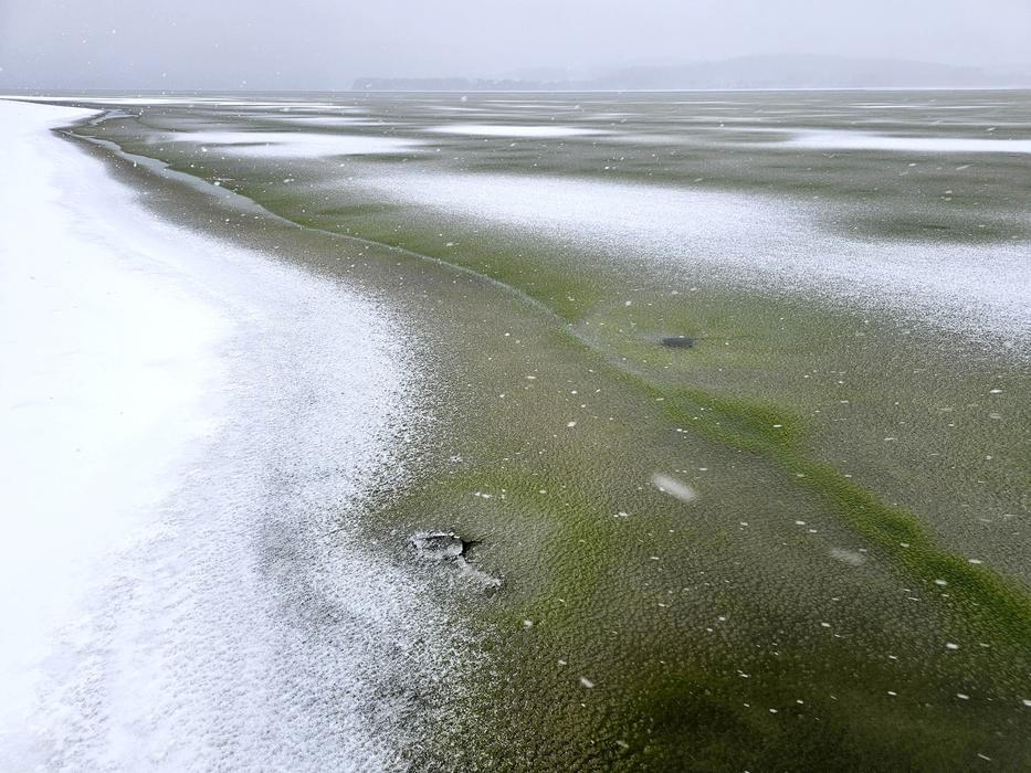 Lipenský fenomén: český zelený led míří do vědeckých učebnic
