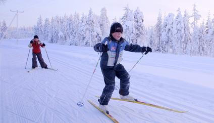 cross-country skiing in snowy landscape, Finland, Oulu, Kuusamo