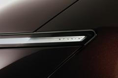 Hyundai Staria Electric