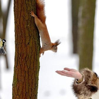Škoda tyhle fotky minout: diktátor v mundúru, Zjevení Páně nebo radost z oříšku