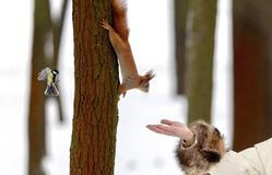 Škoda tyhle fotky minout: diktátor v mundúru, Zjevení Páně nebo radost z oříšku