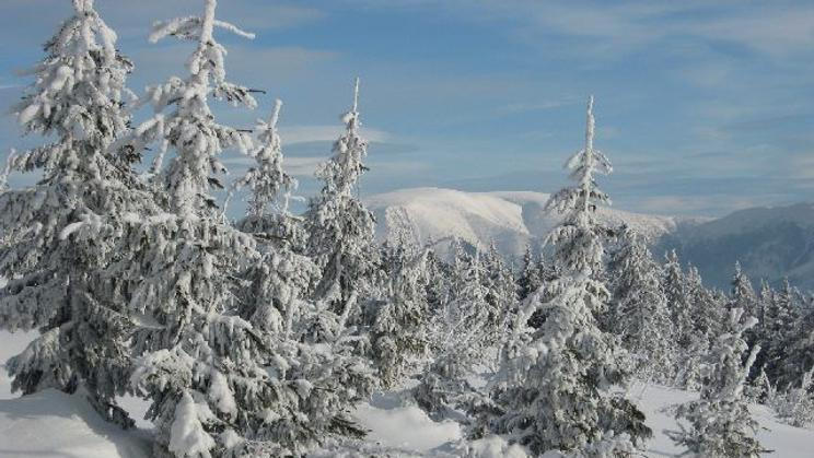 Mráz v Krkonoších