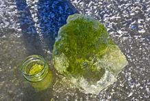 Lipenský fenomén: český zelený led míří do vědeckých učebnic