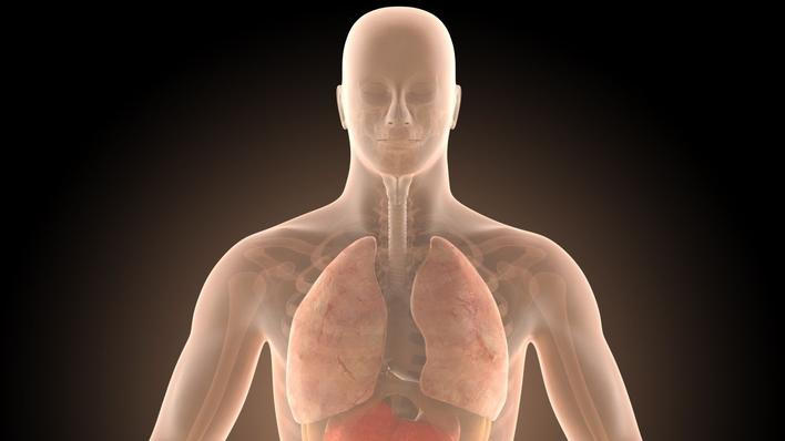 Střeva, kolonoskopie