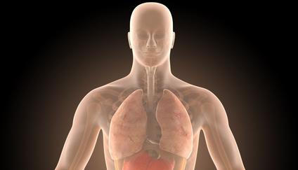 Střeva, kolonoskopie