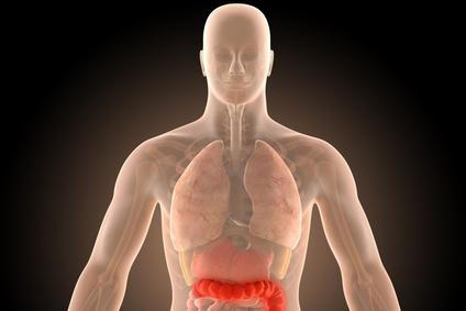 Střeva, kolonoskopie