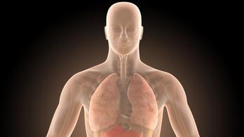 Střeva, kolonoskopie