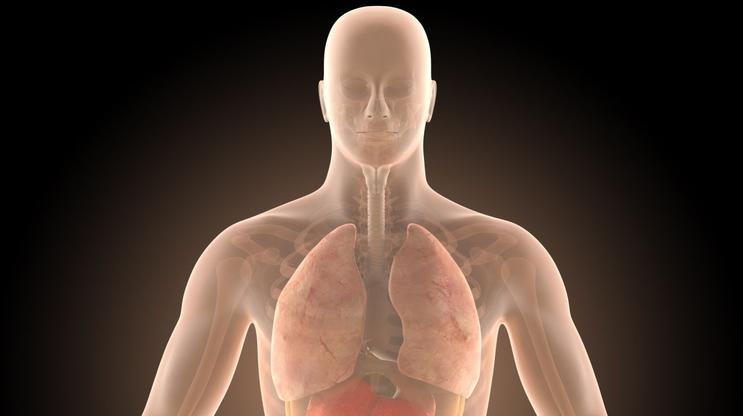 Střeva, kolonoskopie