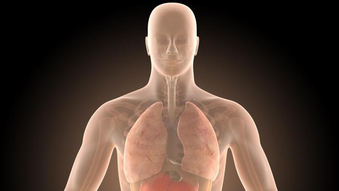 Střeva, kolonoskopie