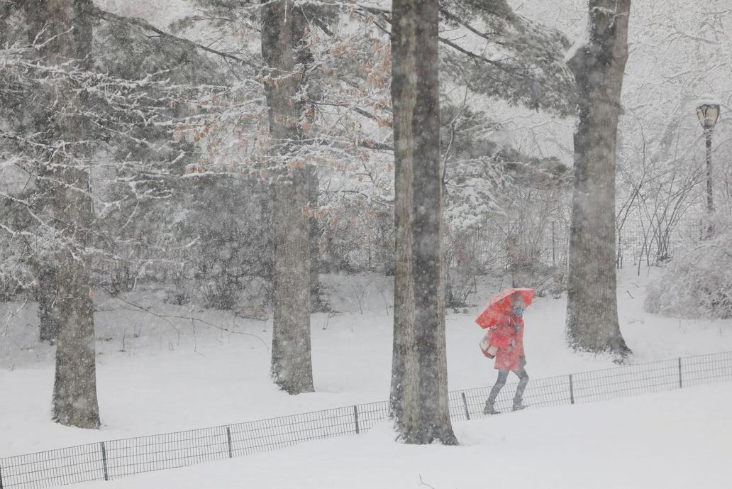 zima-sníh-mráz-kalamita-závěje-ledovka