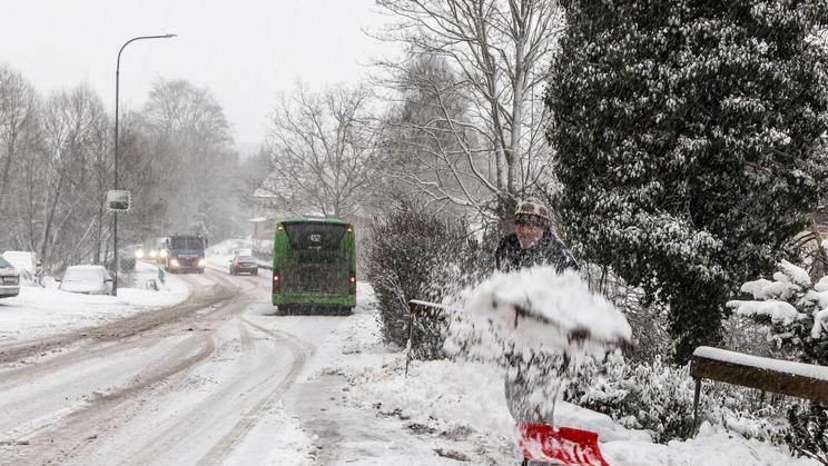 muž, lopata, úklid sněhu, autobus MHD, silnice, sníh, sněžení, zima, zimní počasí