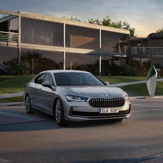 Daří se i Superbu.