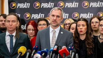 ČR-sněmovna-strany-kluby-FASTPIX, Poslanecká sněmovna