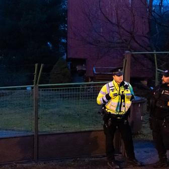 Motiv pětadvacetiletého únosce není doposud jasný.