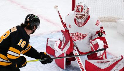 Red Wings Bruins Hockey