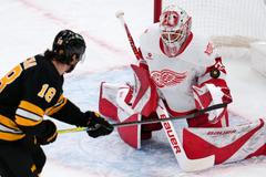Red Wings Bruins Hockey