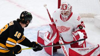 Red Wings Bruins Hockey