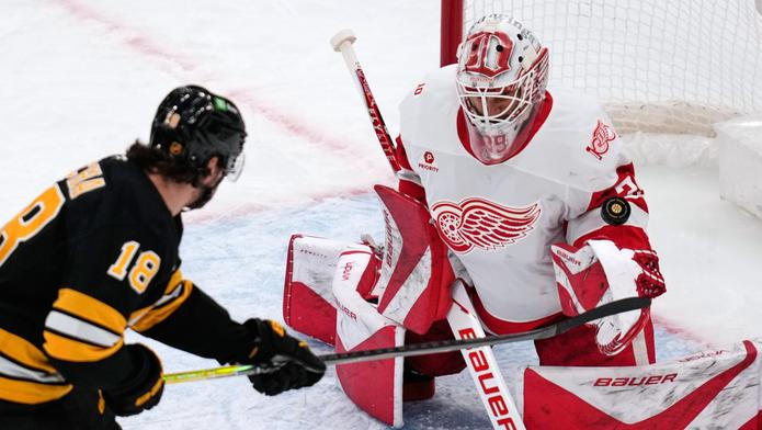 Red Wings Bruins Hockey