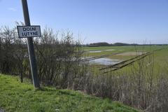 Dolní Lutyně, pozemek, pole, elektrické vedení