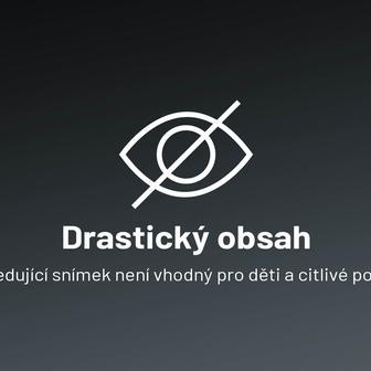 Drastický obsah, následující snímek není vhodný pro děti a citlivé povahy