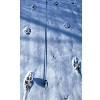 Vlčí stopní dráha – Vsetínské Beskydy