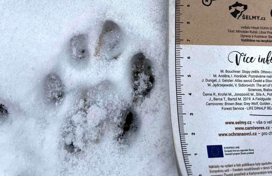 Rysí stopa – Beskydy 