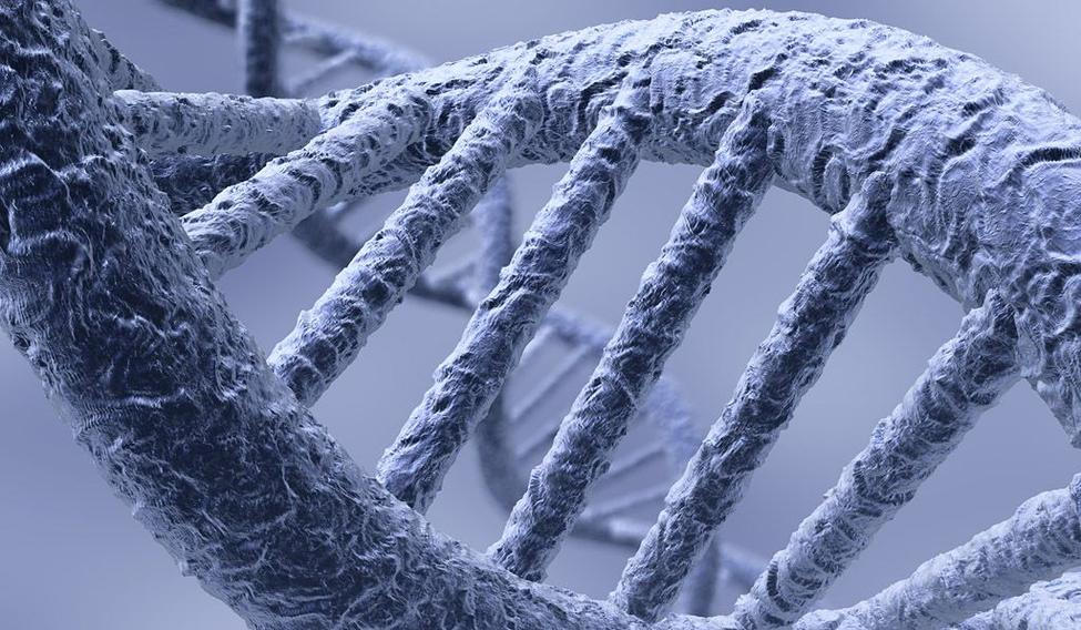 Věda s pomocí biotechnologií dokáže „hacknout“ DNA. Konzumenti neprověřených peptidů věří, že to dokážou sami bez odborné pomoci. 