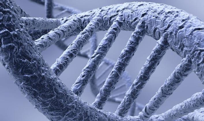 Věda s pomocí biotechnologií dokáže „hacknout“ DNA. Konzumenti neprověřených peptidů věří, že to dokážou sami bez odborné pomoci. 