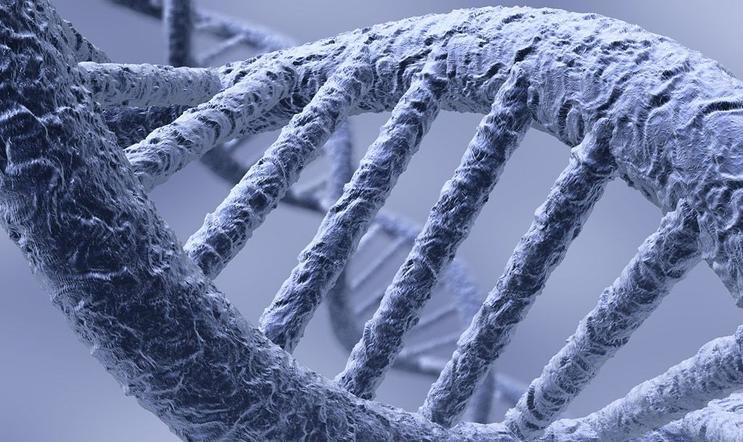 Věda s pomocí biotechnologií dokáže „hacknout“ DNA. Konzumenti neprověřených peptidů věří, že to dokážou sami bez odborné pomoci. 