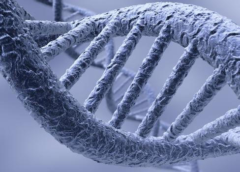 Věda s pomocí biotechnologií dokáže „hacknout“ DNA. Konzumenti neprověřených peptidů věří, že to dokážou sami bez odborné pomoci.