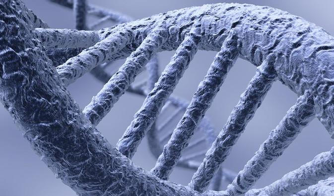 Věda s pomocí biotechnologií dokáže „hacknout“ DNA. Konzumenti neprověřených peptidů věří, že to dokážou sami bez odborné pomoci.