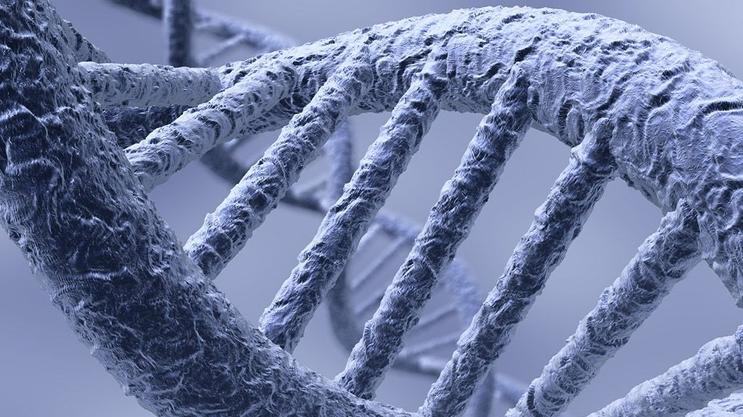 Věda s pomocí biotechnologií dokáže „hacknout“ DNA. Konzumenti neprověřených peptidů věří, že to dokážou sami bez odborné pomoci.