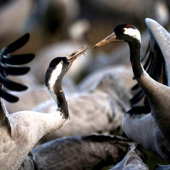 Škoda tyhle fotky minout: bicí & politika, cigareta jako symbol i labyrinty