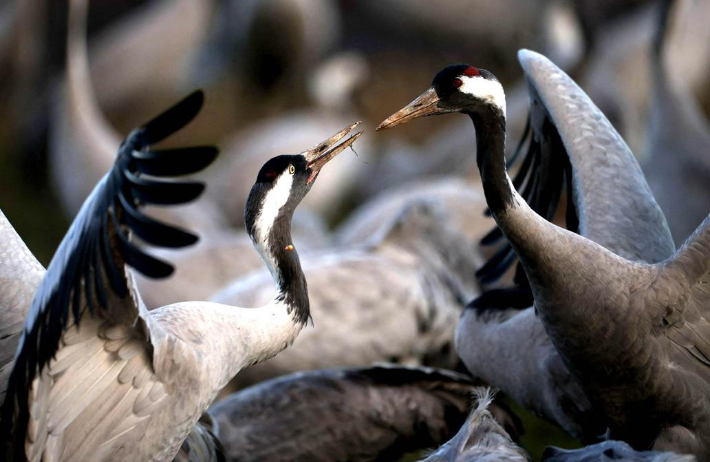 Škoda tyhle fotky minout: bicí & politika, cigareta jako symbol i labyrinty